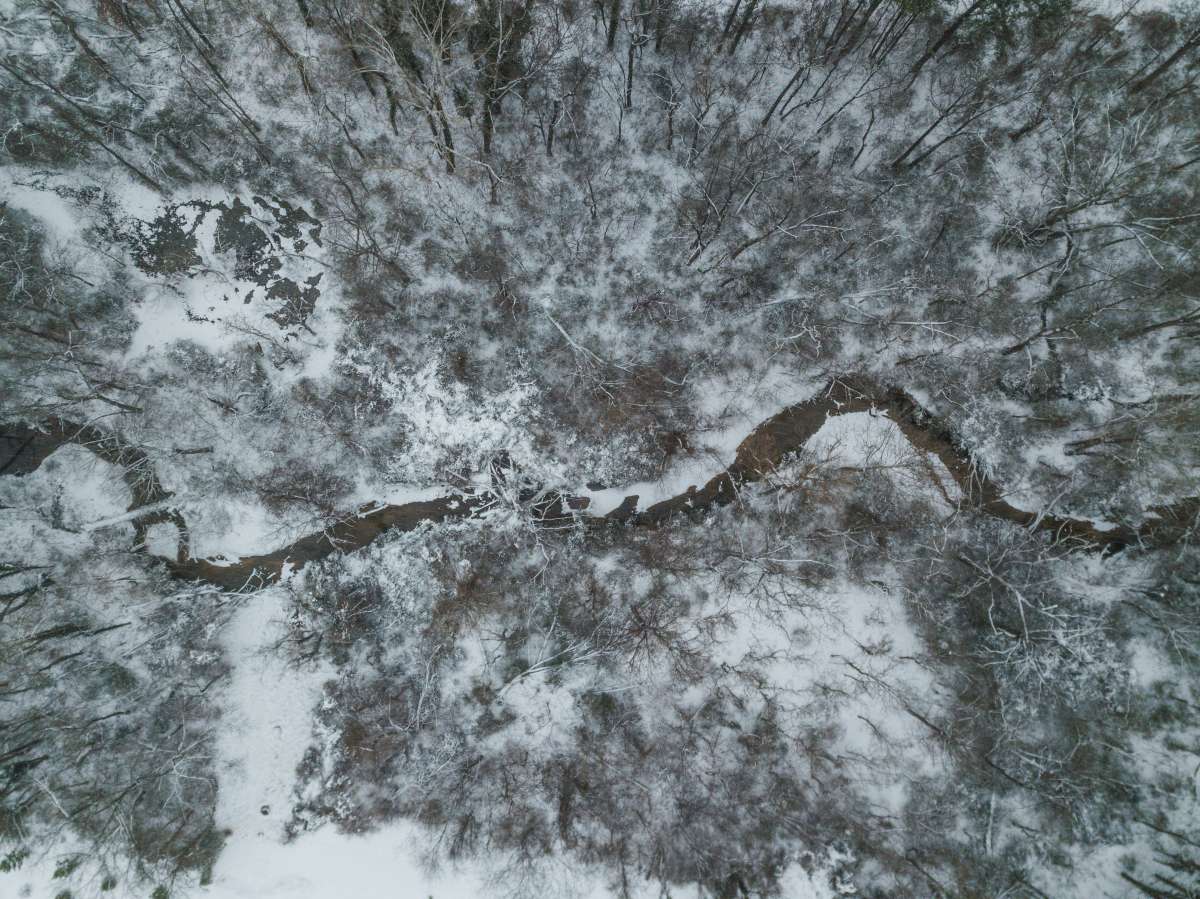01 Richmond Virginia - Trail Winter Tree Snow- James River Park System - Water Nature Reflection - Skyline City.JPG